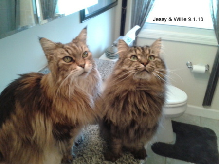 Jessy & Willie
