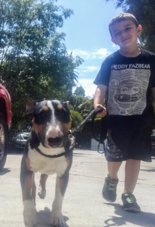 Menudo and Connor walking thru the hood