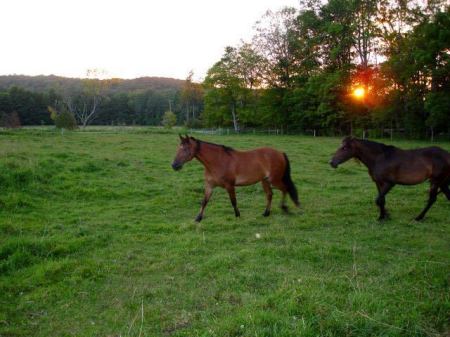 Ian Clark's album, Family Farm