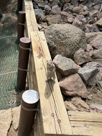 Lil’ guy sayin’ “Hi!” on the Manitou Incline