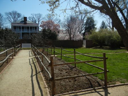 Peggy Ehrenberg's album, Jeffersons Academical Village