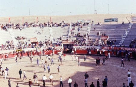 End of running of bulls in arena