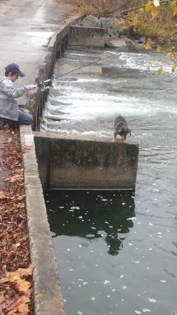 trout fishing