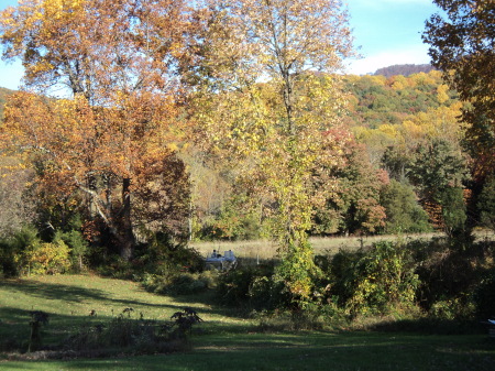 Blue Ridge and Skyline Drive