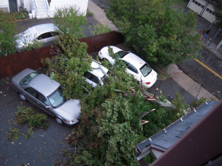 Chris' car dies under city tree in storm