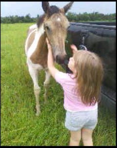  miss lilly "the filly"