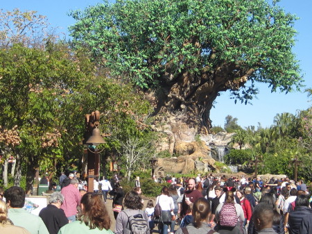 Animal Kingdom Orlando Florida