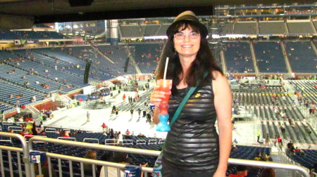 Guns n Roses Concert