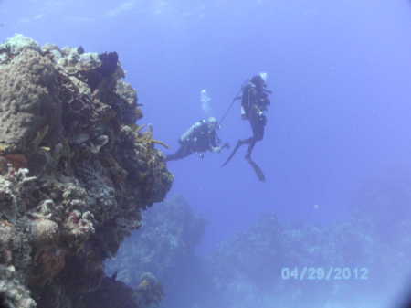 Jim Duprie's album, Cozumel Trip    Great Barrier Reef and Bali