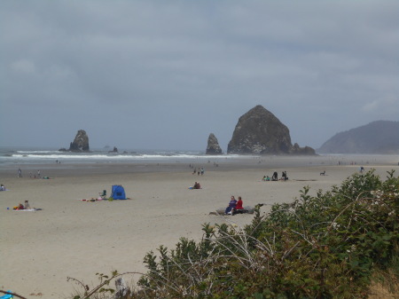 Christi Sheppard's album, Oregon coast 2013