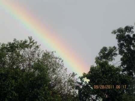 Wishing you Rainbows!