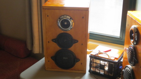 Speakers built with amplifier