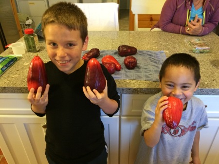 Grand kids with some home grown Mt  Apple