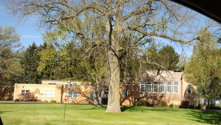 Latham Park School