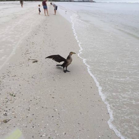 Theresa Haneline's album, Florida