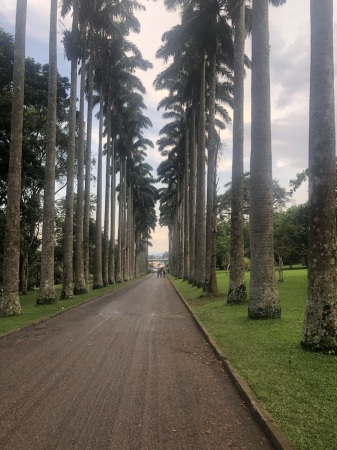 Aburi Garden Ghana Africa 🥹