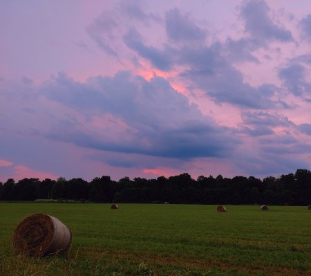 Evening in the Hayfield