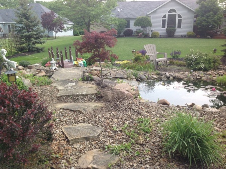 Koi Pond rainy day