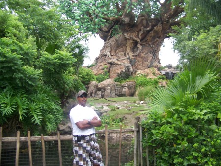 Florida, Animal Kingdom