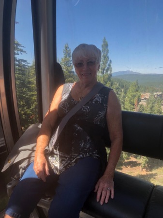 Northshore gondola up mountain