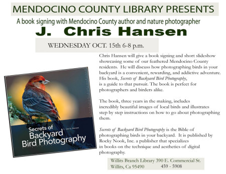 Chris Hansen's album, My New Book Secrest of Backyard bird Photograph