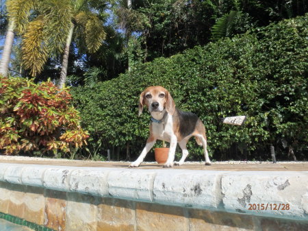 Bella in Florida 