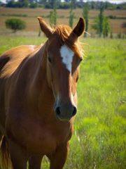 Suzanne Bishop's Classmates® Profile Photo