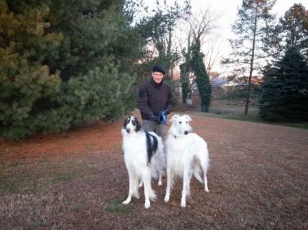 My Borzoi buddies.