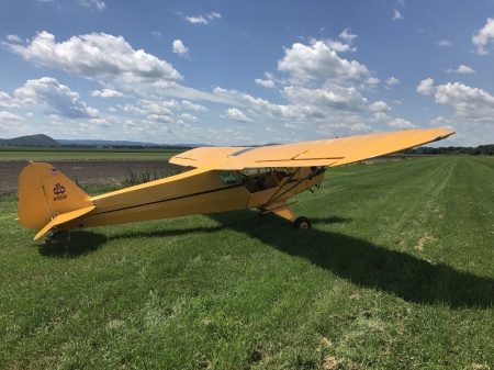 Our 1946 Cub