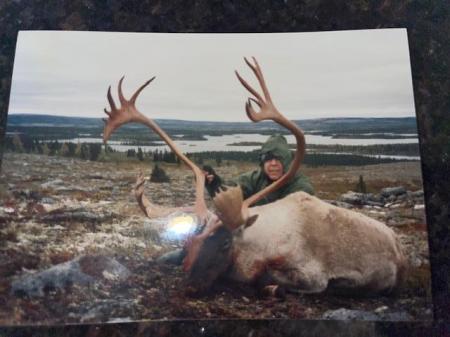 Caribou Quebec 1993