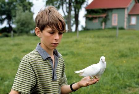 Home on the farm with my pigeons- 12 years old