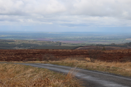 Irish country side