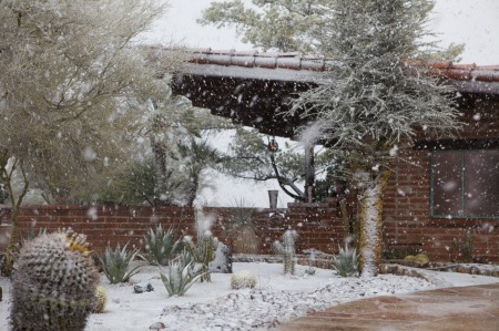 Snow in Tucson 2013  LOL