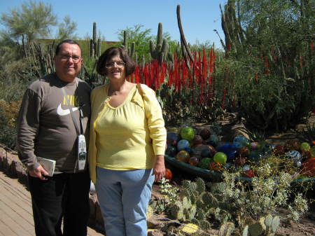 The Botanicle Garden in Phoenix AZ.