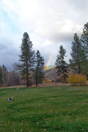 Beautiful rainbow in my front yard in Montana