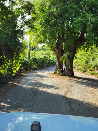 Greg McNabb's album, St John USVI