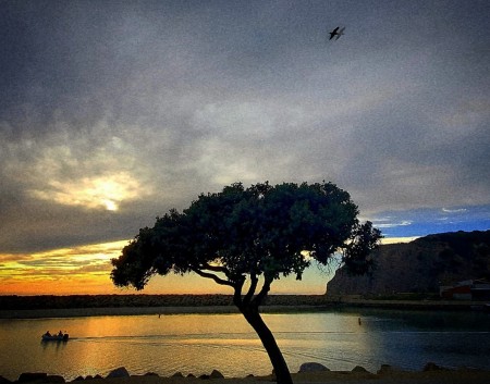 Dana Point Harbor 