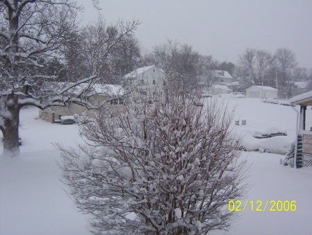 Snowy Day at home