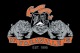 Vacaville High School C/O 2000 20 Year Reunion reunion event on Oct 10, 2020 image