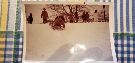 Sledding in Roger Williams Park 