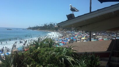 Laguna Beach 14