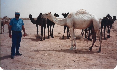 Saudi Arabia 1986