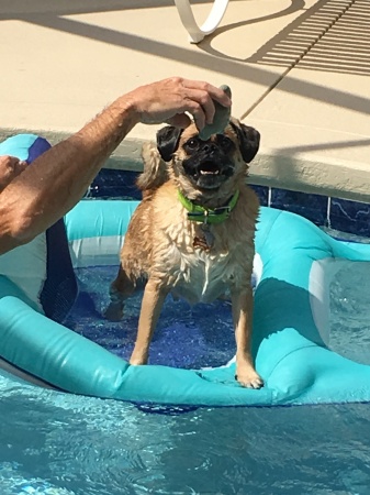 Reggie and pool time