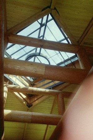 Roof of our longhouse in Eugene Or.