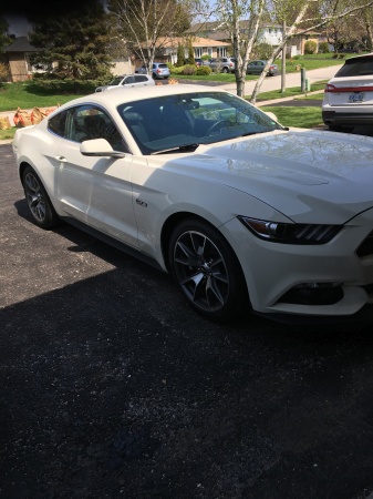 My 2014 Ltd. Edition 50th Anniversary Mustang 