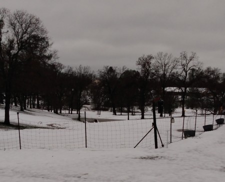 horse pasture with a little bit of snow