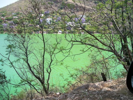 Near Sun City, South Africa