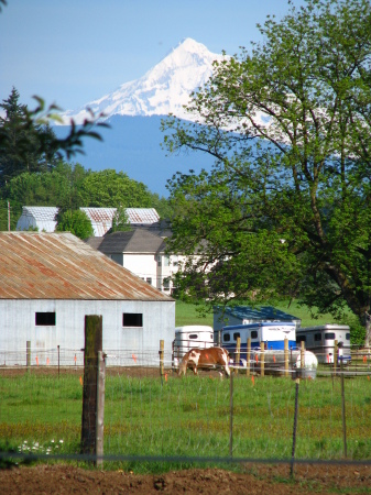 Mount Hood