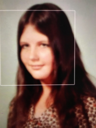 Shelia Sulkowski's Classmates profile album