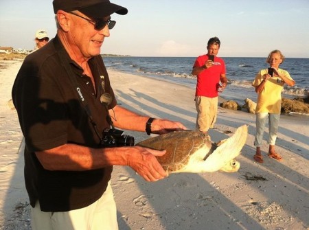 William Wargo's album, Alligator Point Sea Turtle Patrol 